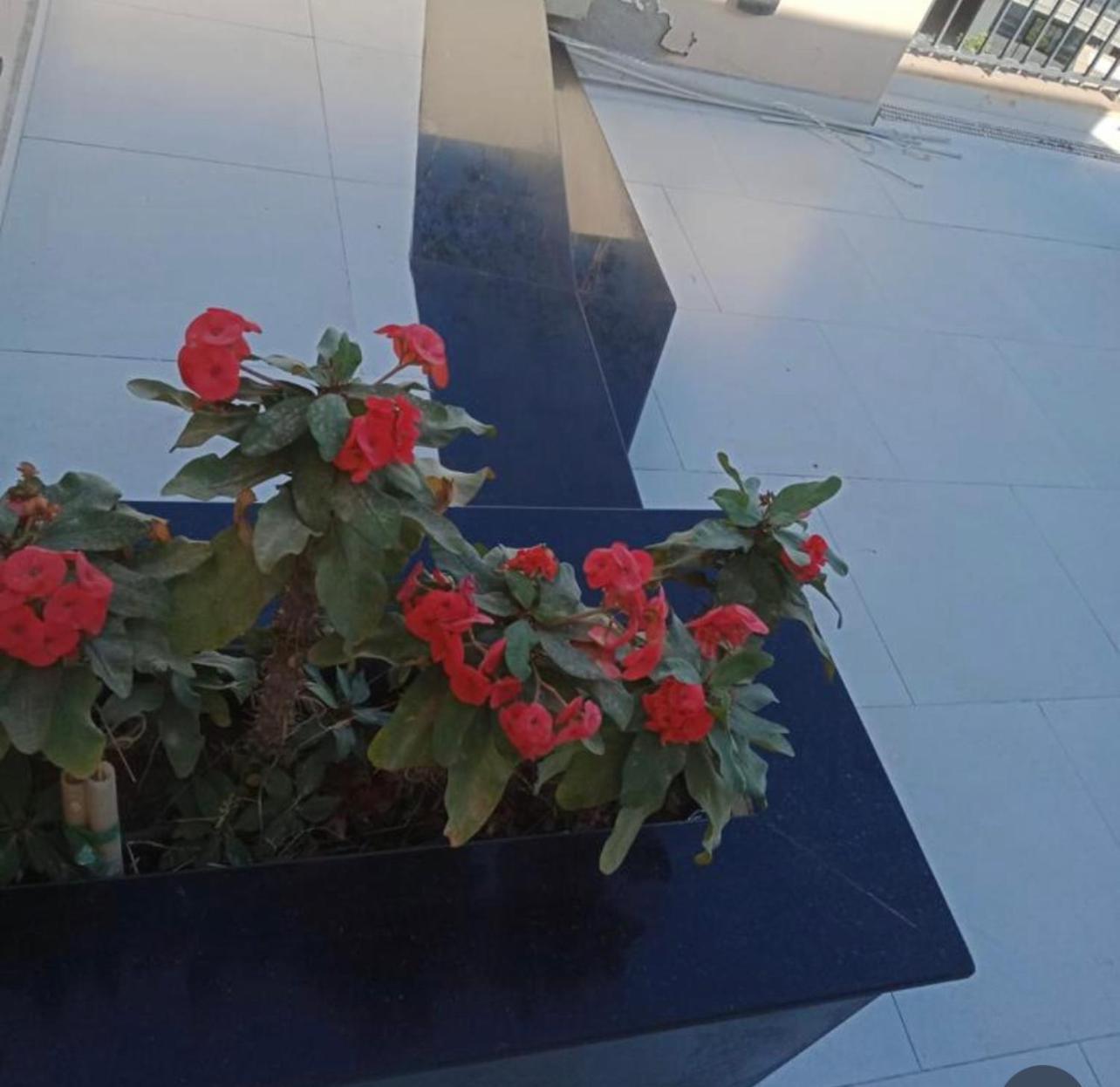 Nice Studio On The Roof Hotel Sheikh Zayed City Exterior photo